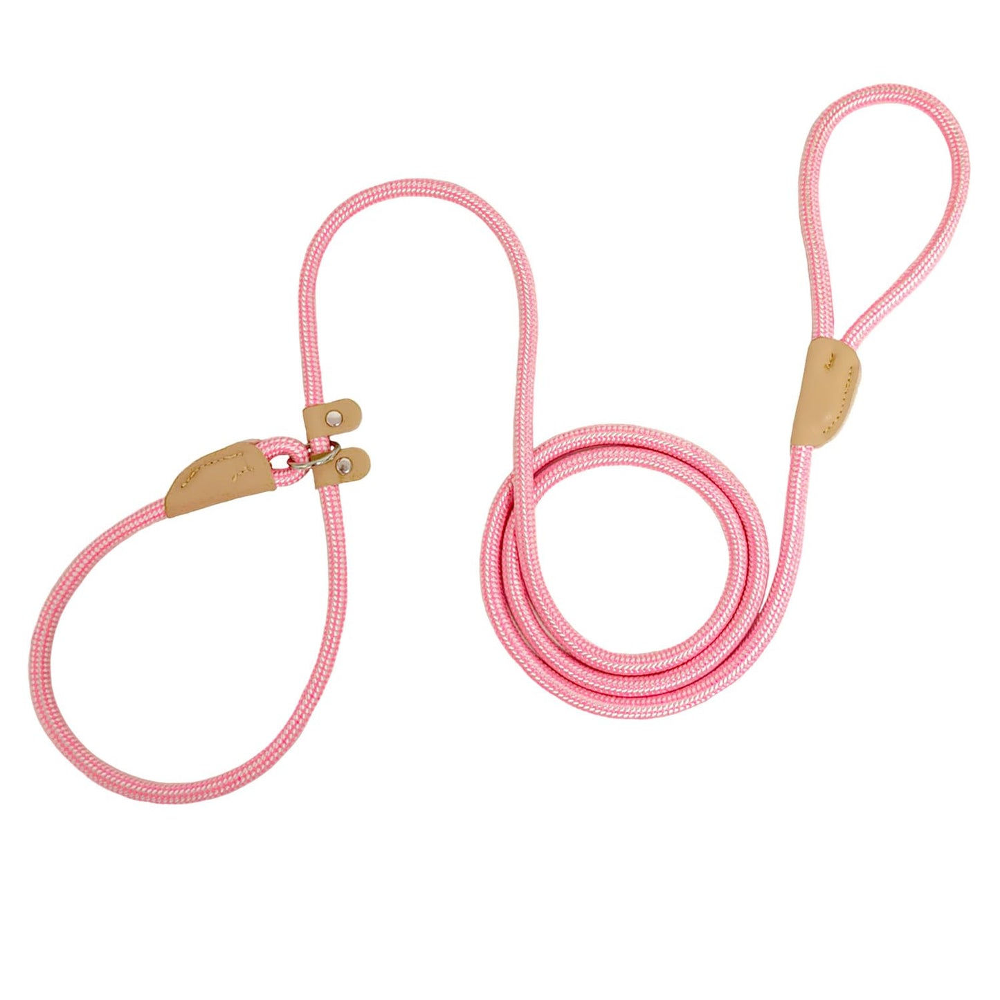 6 FT Heavy Duty Slip Lead for Dogs