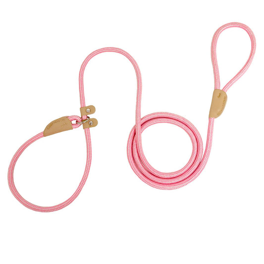 6 FT Heavy Duty Slip Lead for Dogs